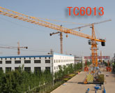 TC6013